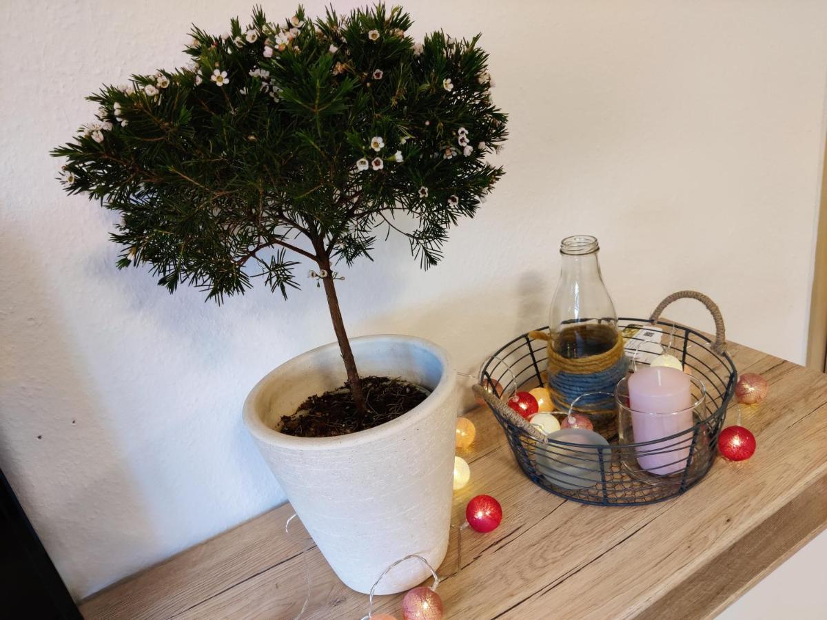 Ferienwohnung Brunow "In Der Natur Zuhause" Neundorf  外观 照片