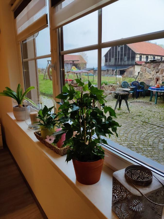 Ferienwohnung Brunow "In Der Natur Zuhause" Neundorf  外观 照片