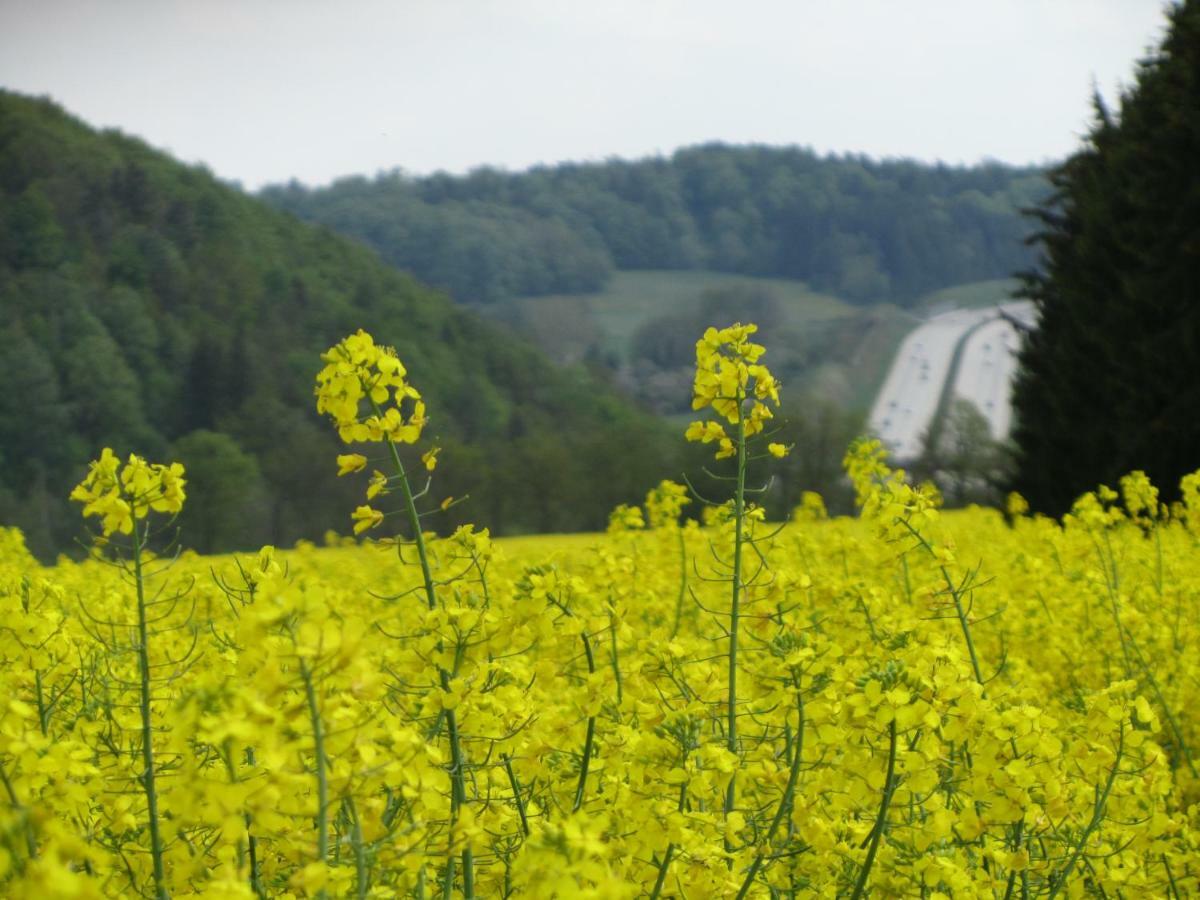 Ferienwohnung Brunow "In Der Natur Zuhause" Neundorf  外观 照片